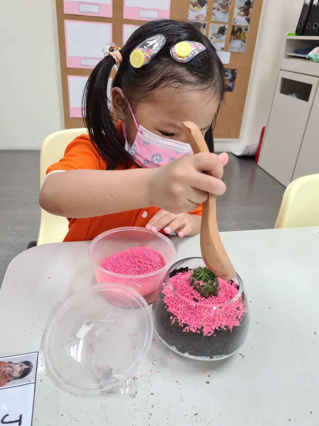 Building terrariums — photo 6