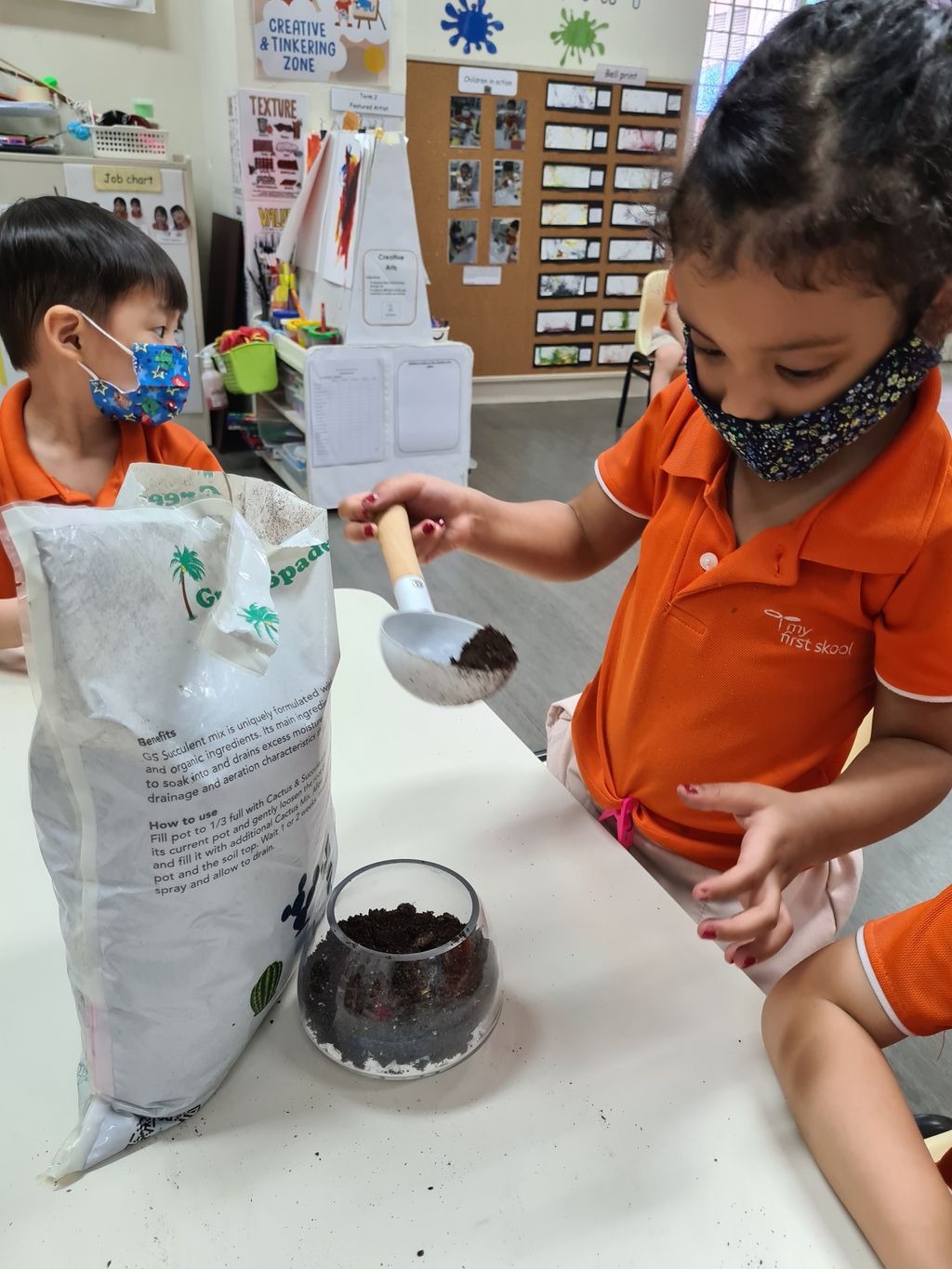 Building terrariums — photo 7