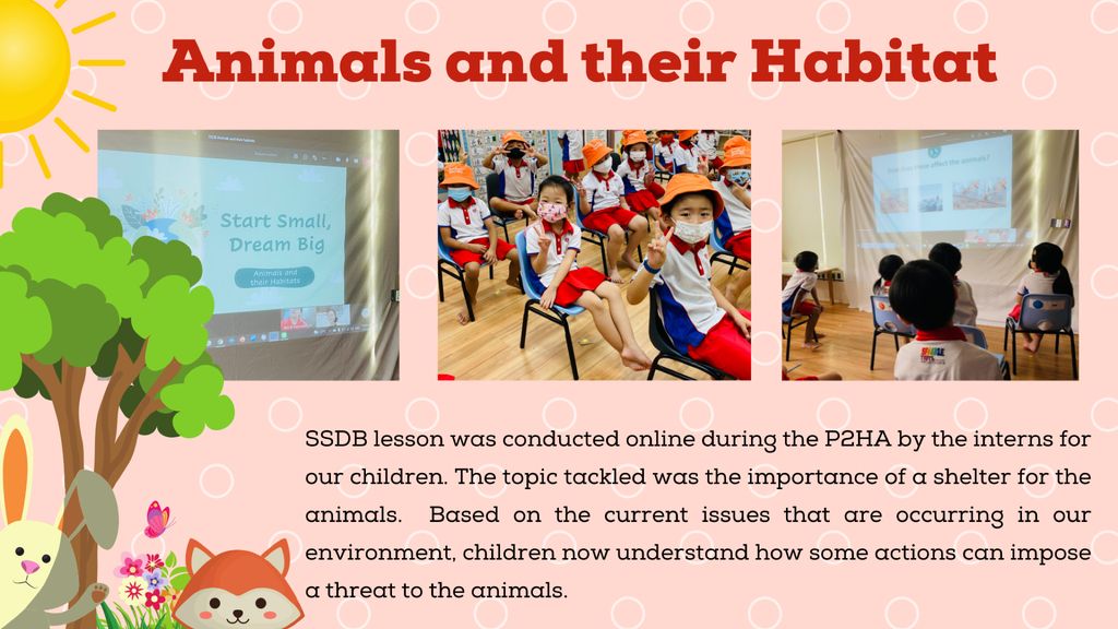 Animals & Their Habitat (A Home For You & Me)