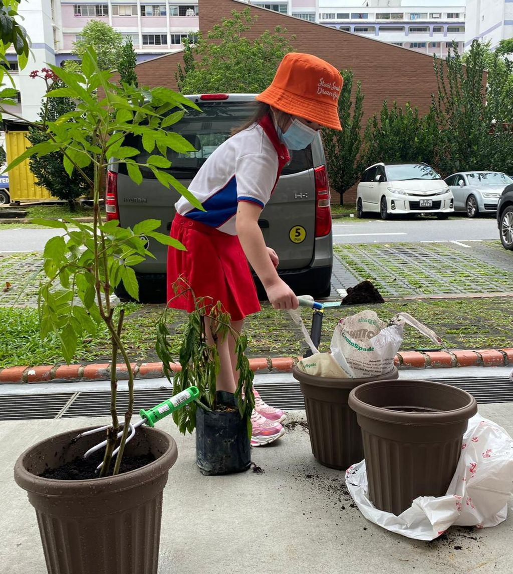 Project Title: ' Produce and Eat Fresh, Fresh Food for All' . From PCF SPARKLETOTS, Blk 205, Bukit Batok. Children are repotting plants. Plants were given by NParks.