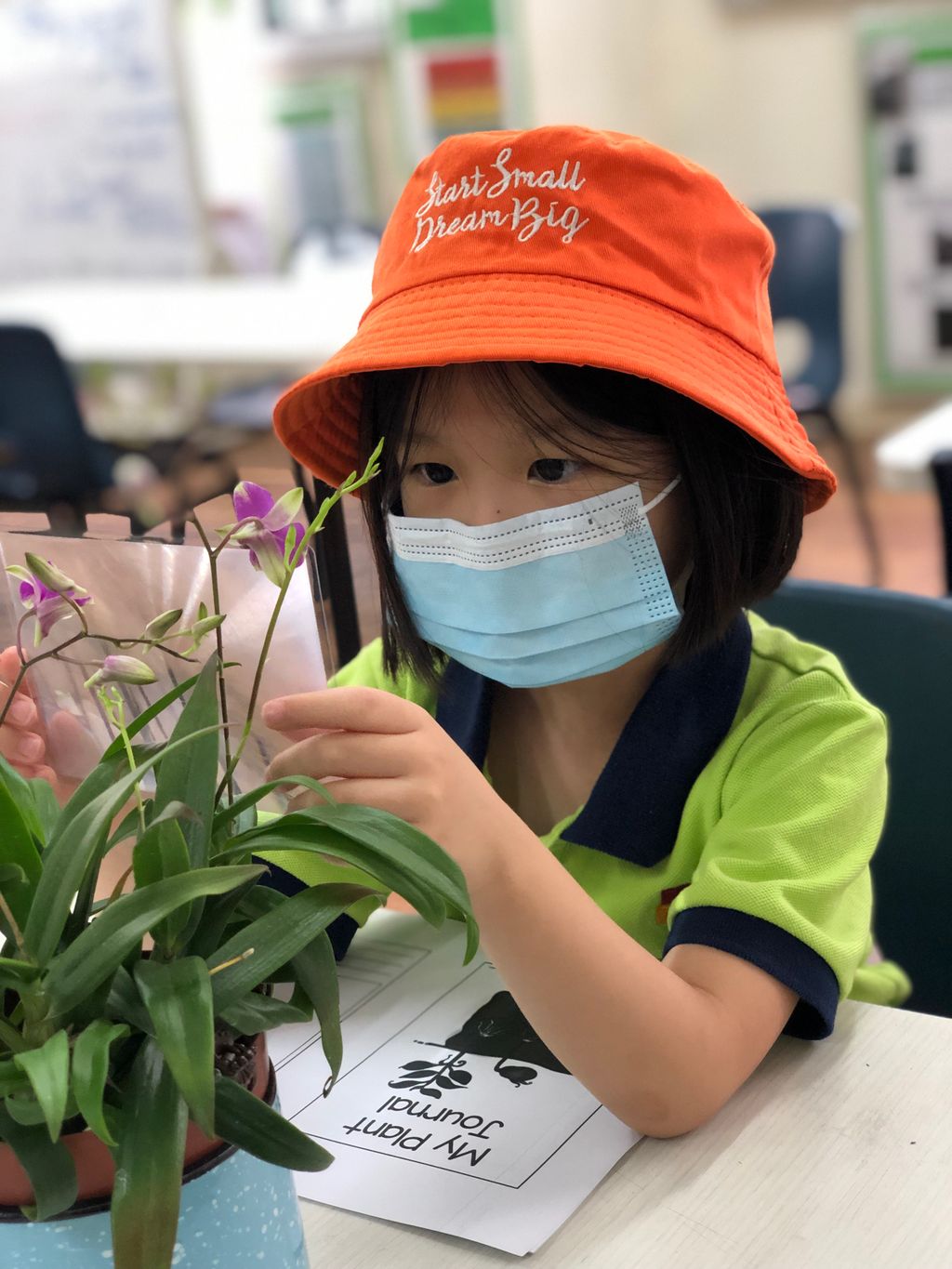 My Plant Observation Journal