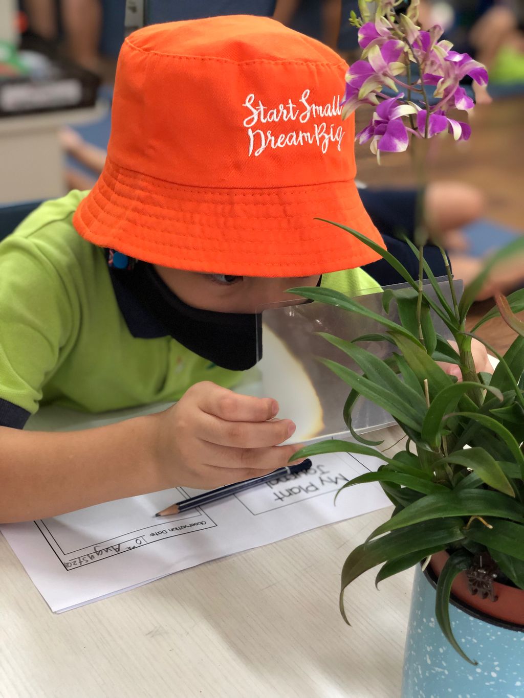 My Plant Observation Journal — photo 3