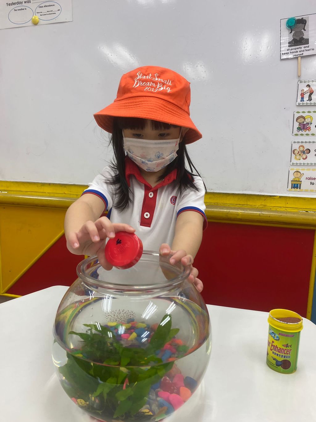 Joy of Caring Makes a Difference — photo 3