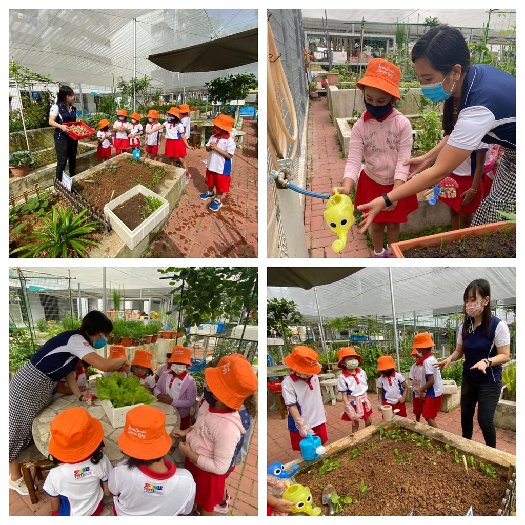 Outdoor learning — photo 2