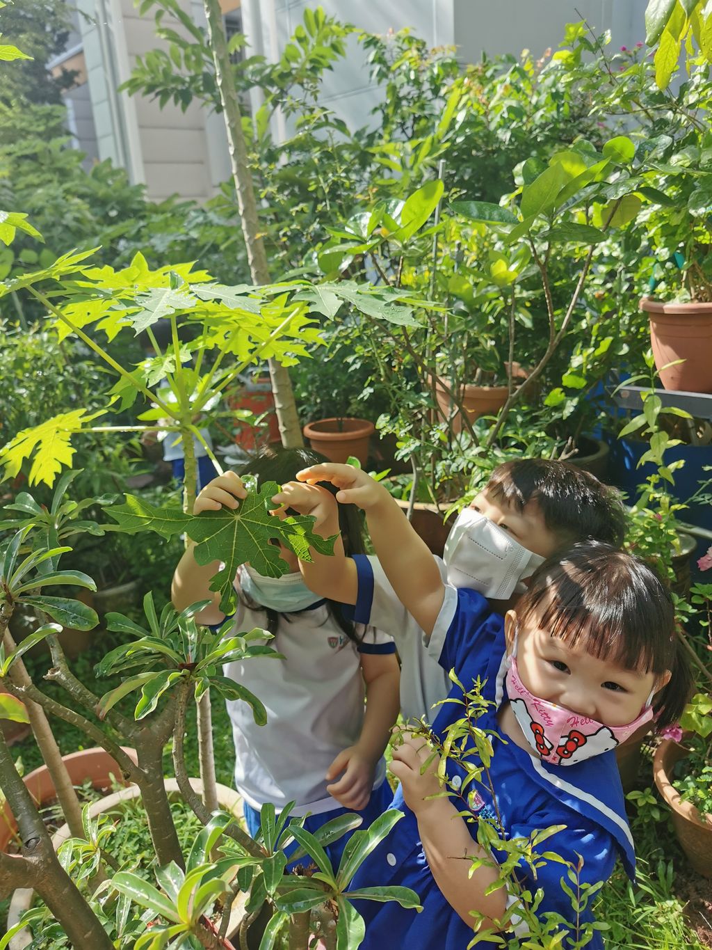 Our wonderful journey is ending — photo 3