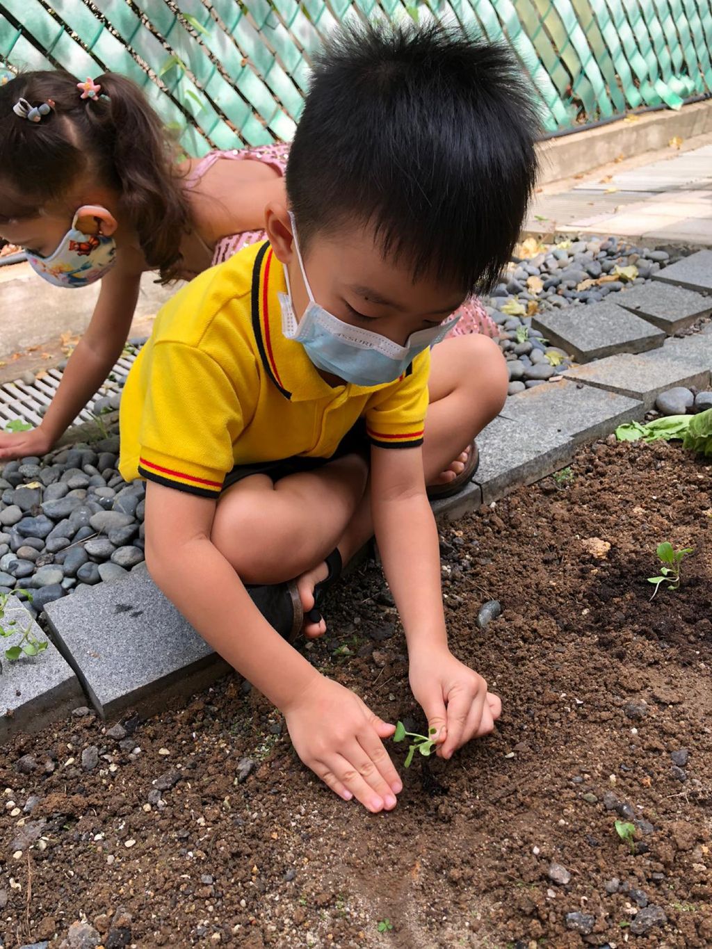 Responsibility for Our Plants
