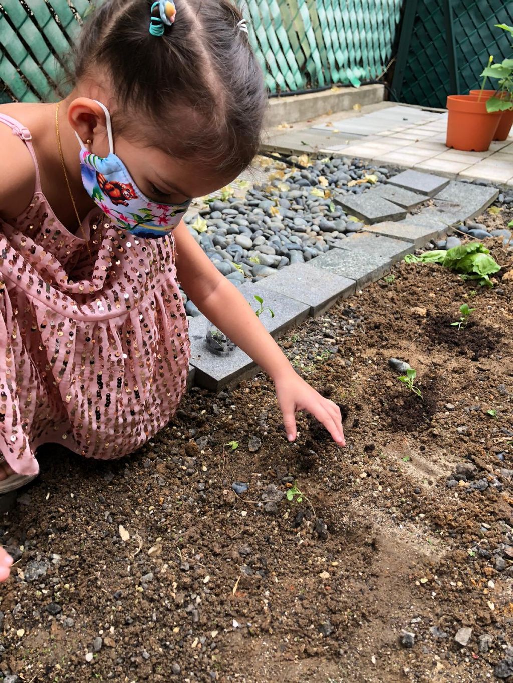 Responsibility for Our Plants — photo 2