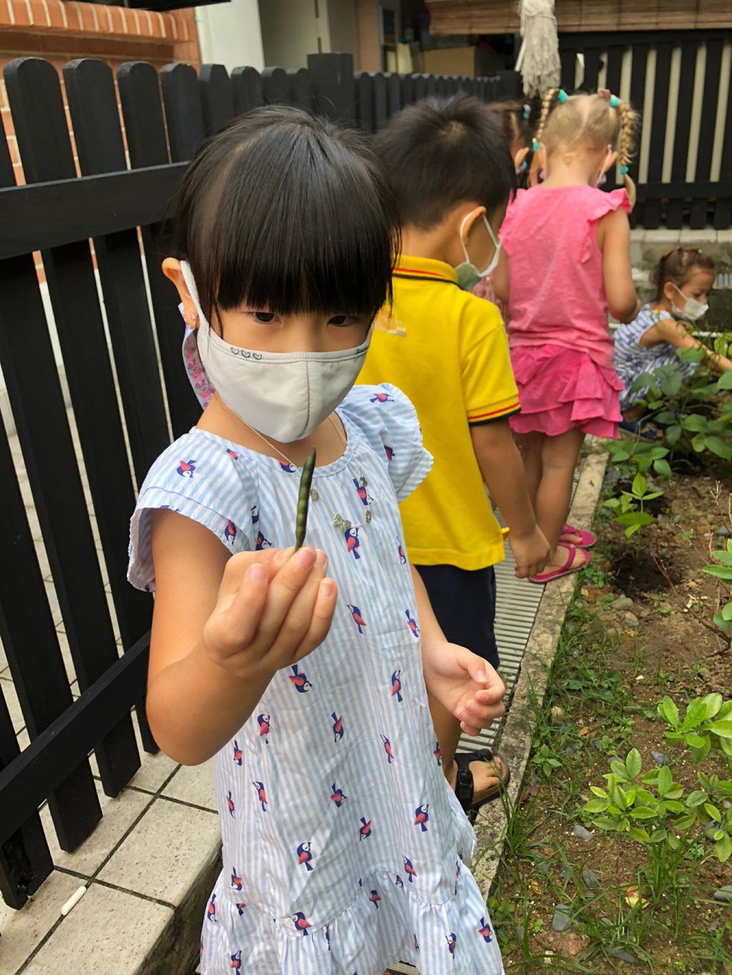 Responsibility for Our Plants — photo 3