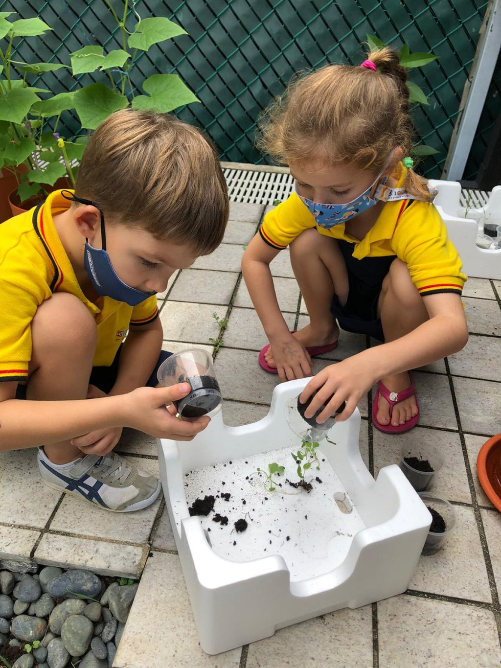 Responsibility for Our Plants — photo 4