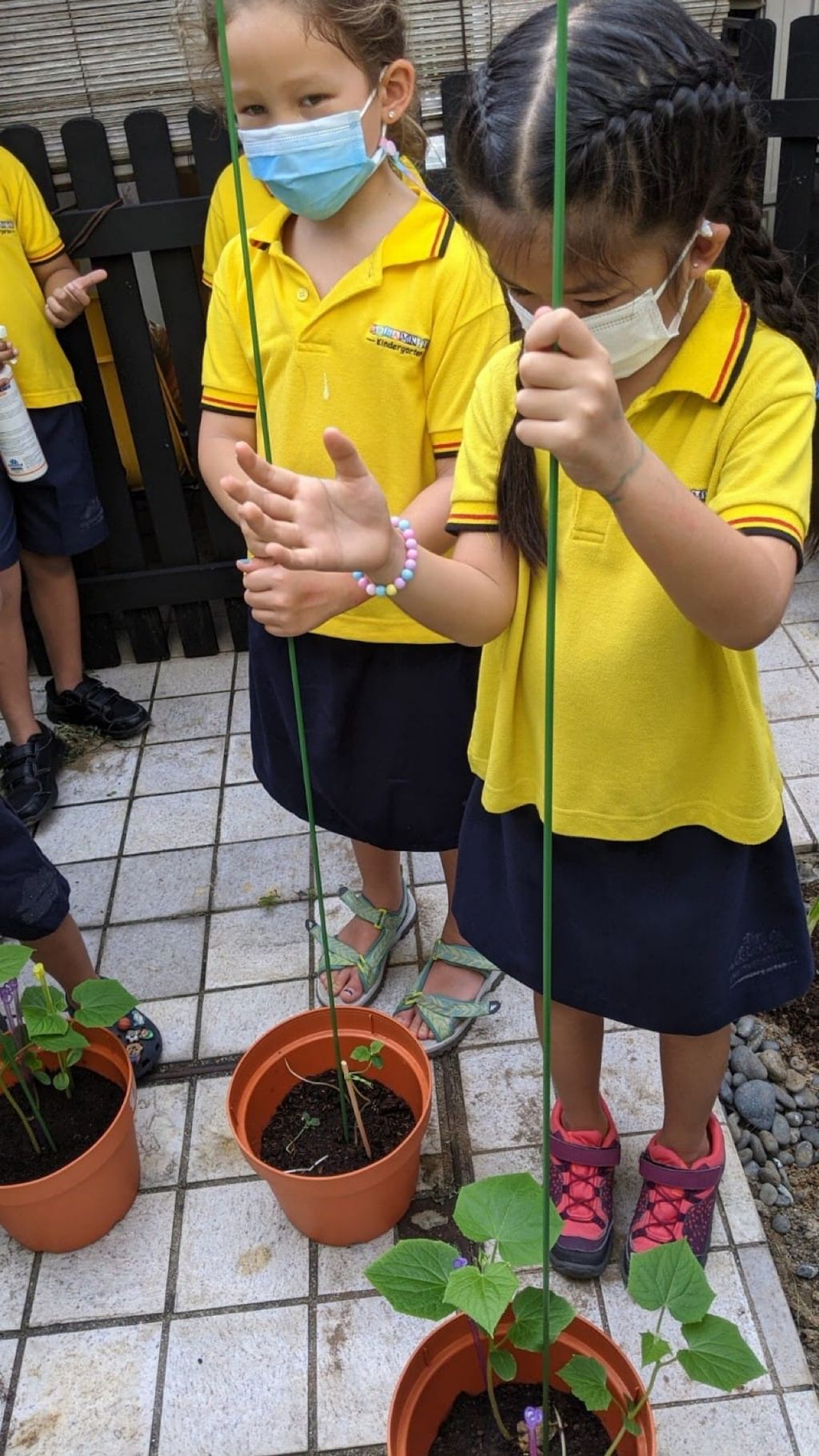 Responsibility for Our Plants — photo 1
