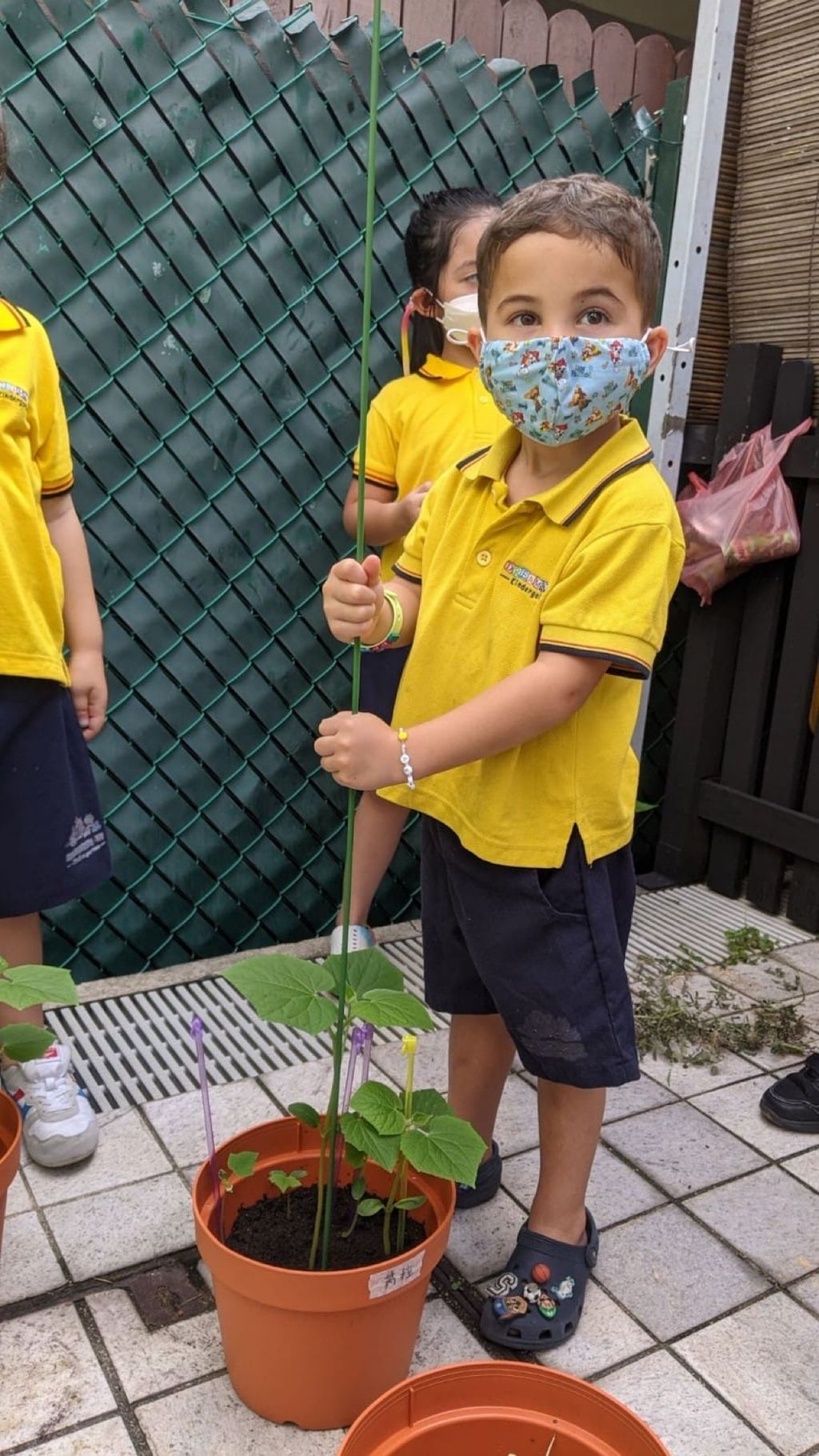 Responsibility for Our Plants — photo 2