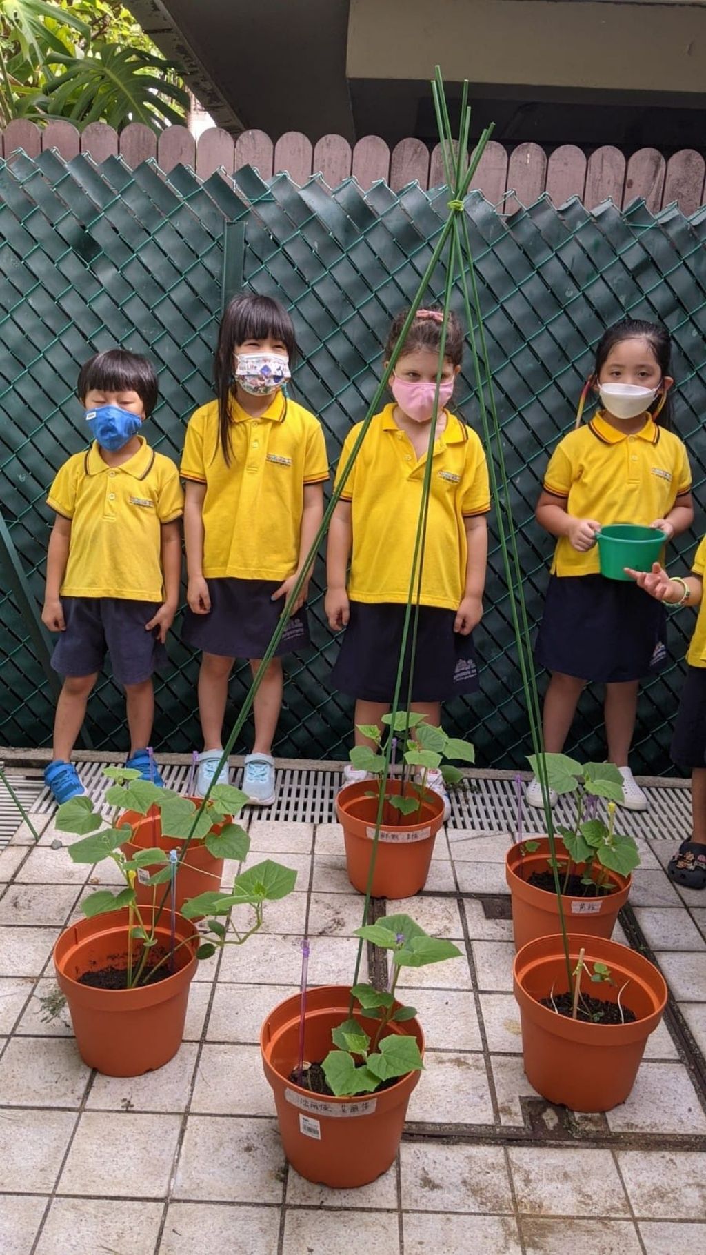 Responsibility for Our Plants — photo 1