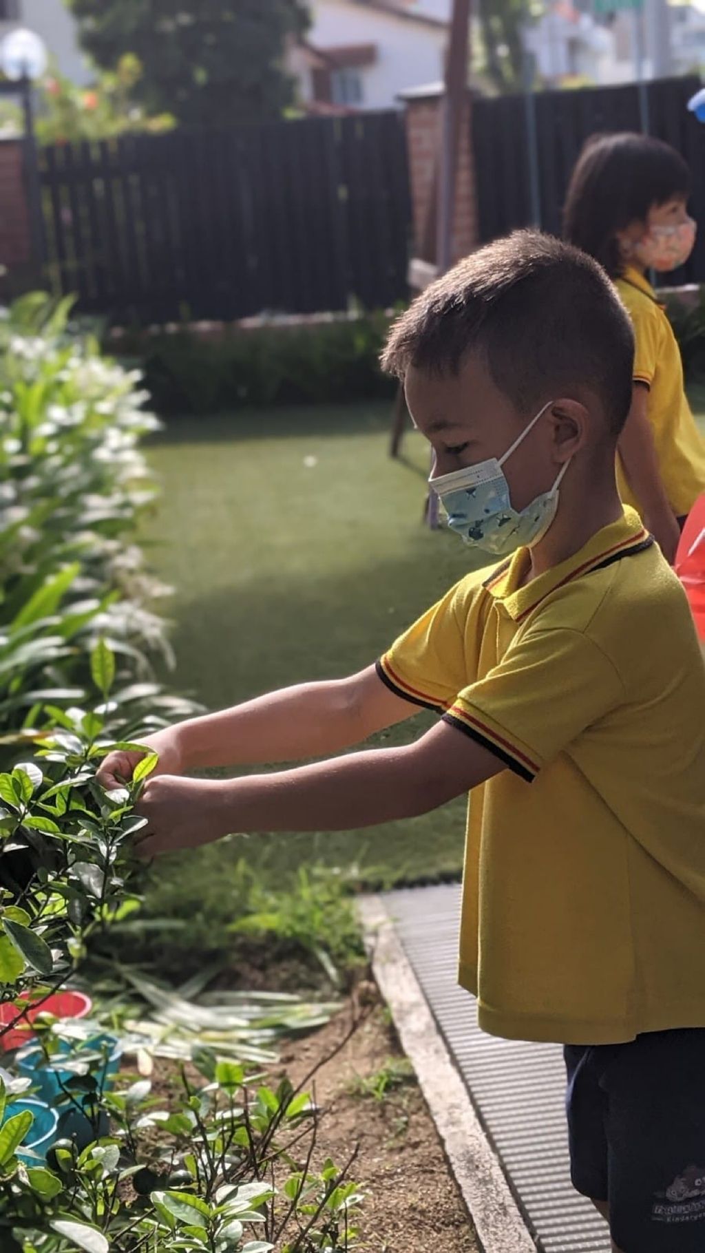 Responsibility for Our Plants — photo 1