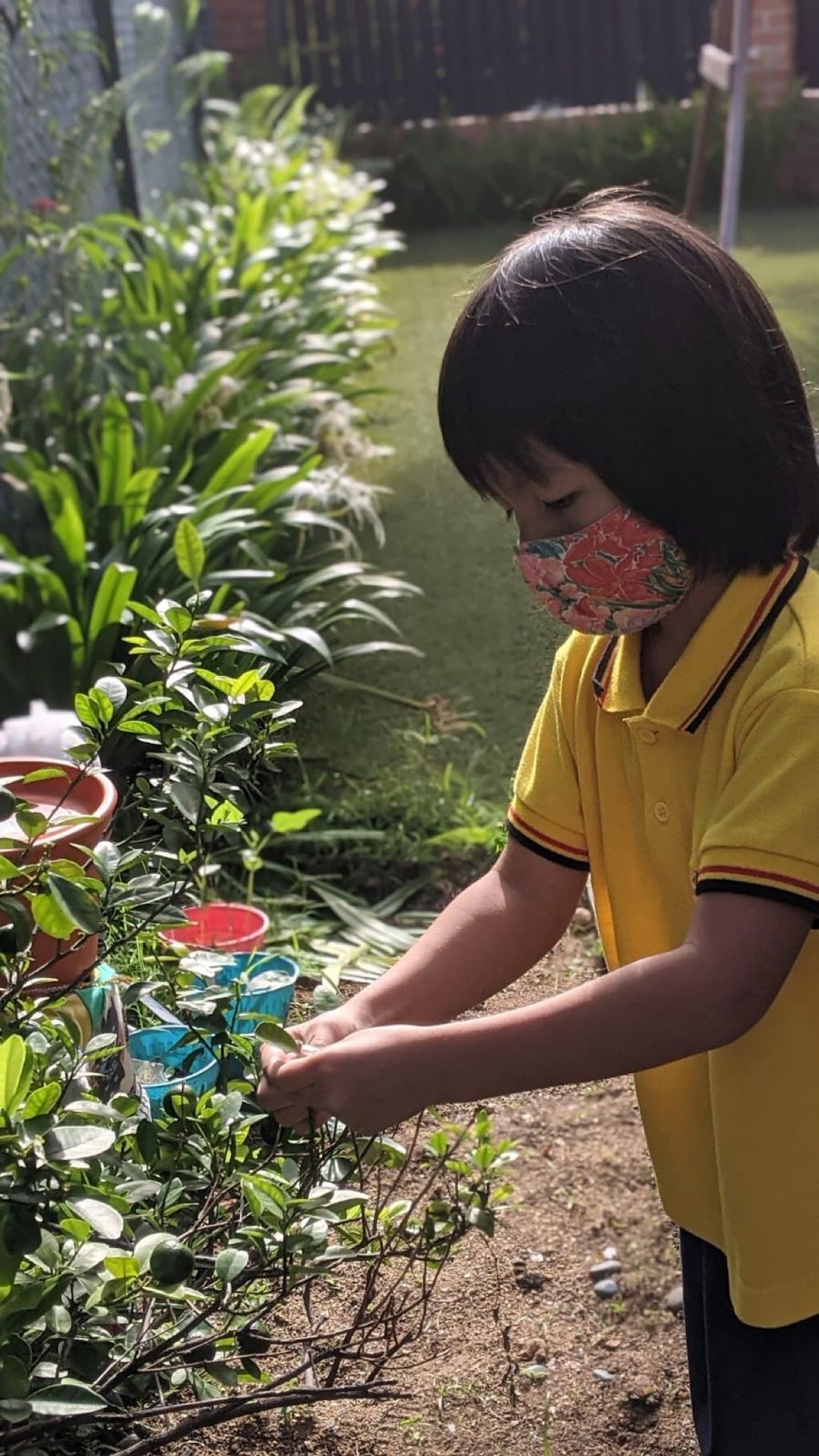 Responsibility for Our Plants — photo 2