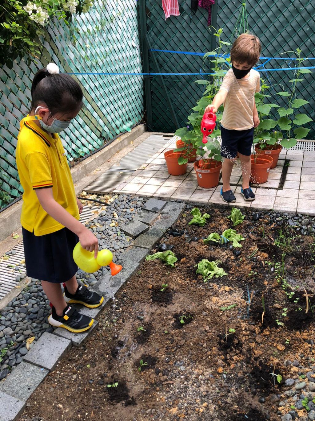 Responsibility for Our Plants — photo 3