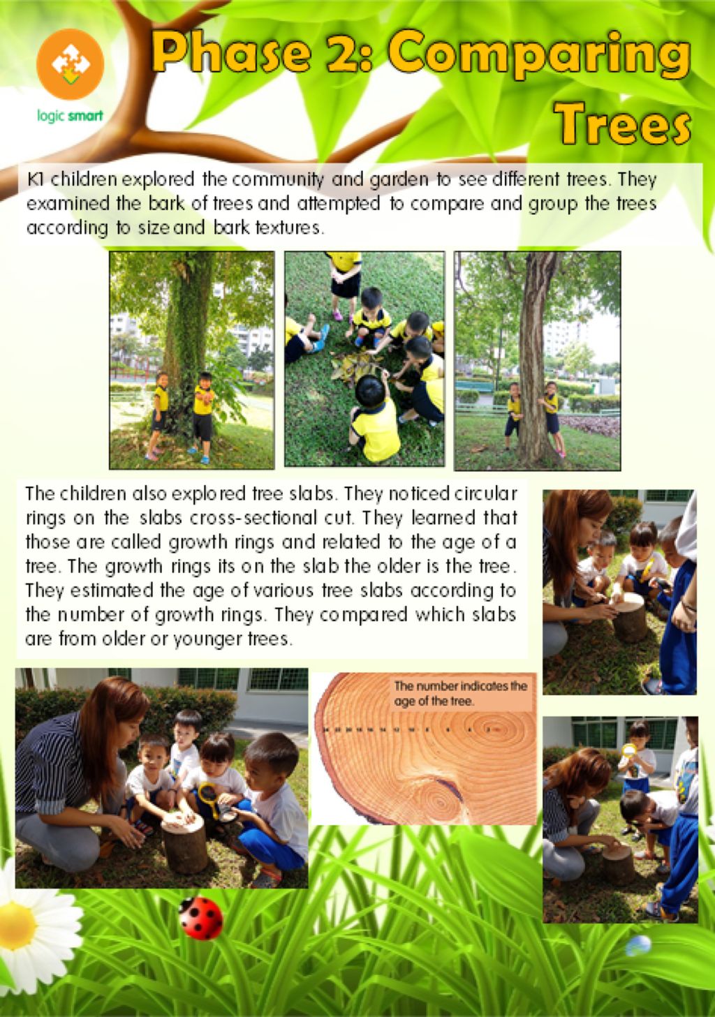 K1 Saving Trees Campaign — photo 2
