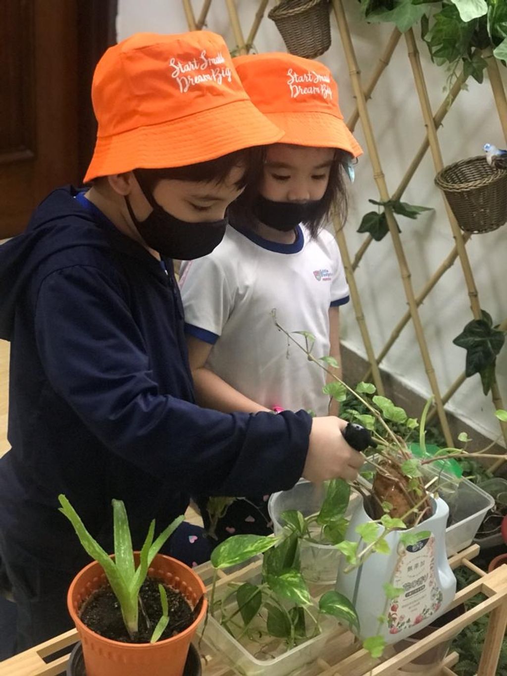 Our Awesome Learning Journey Coming To An End — photo 3