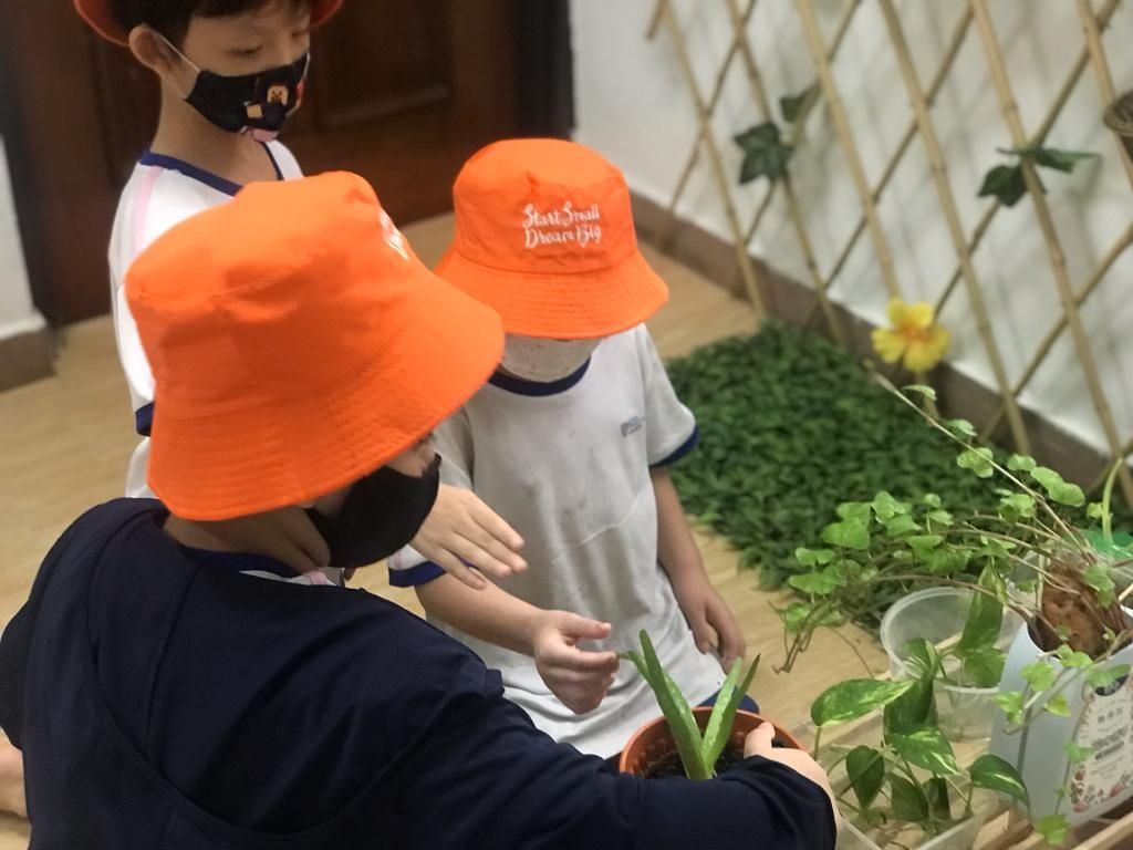 Our Awesome Learning Journey Coming To An End — photo 4
