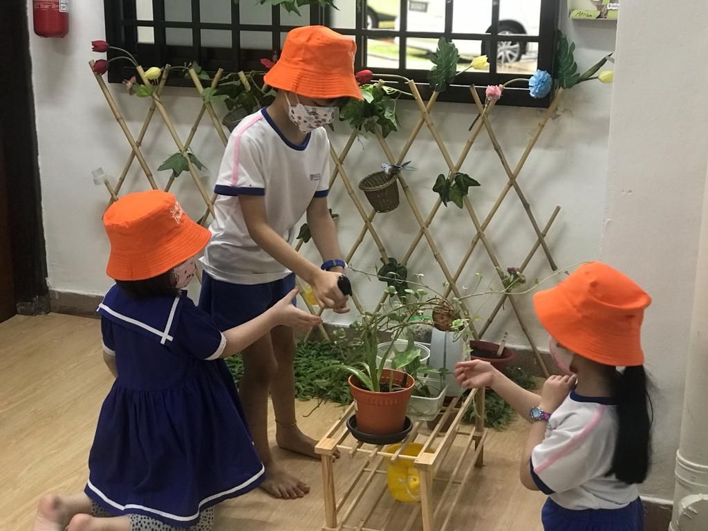 Our Awesome Learning Journey Coming To An End — photo 1