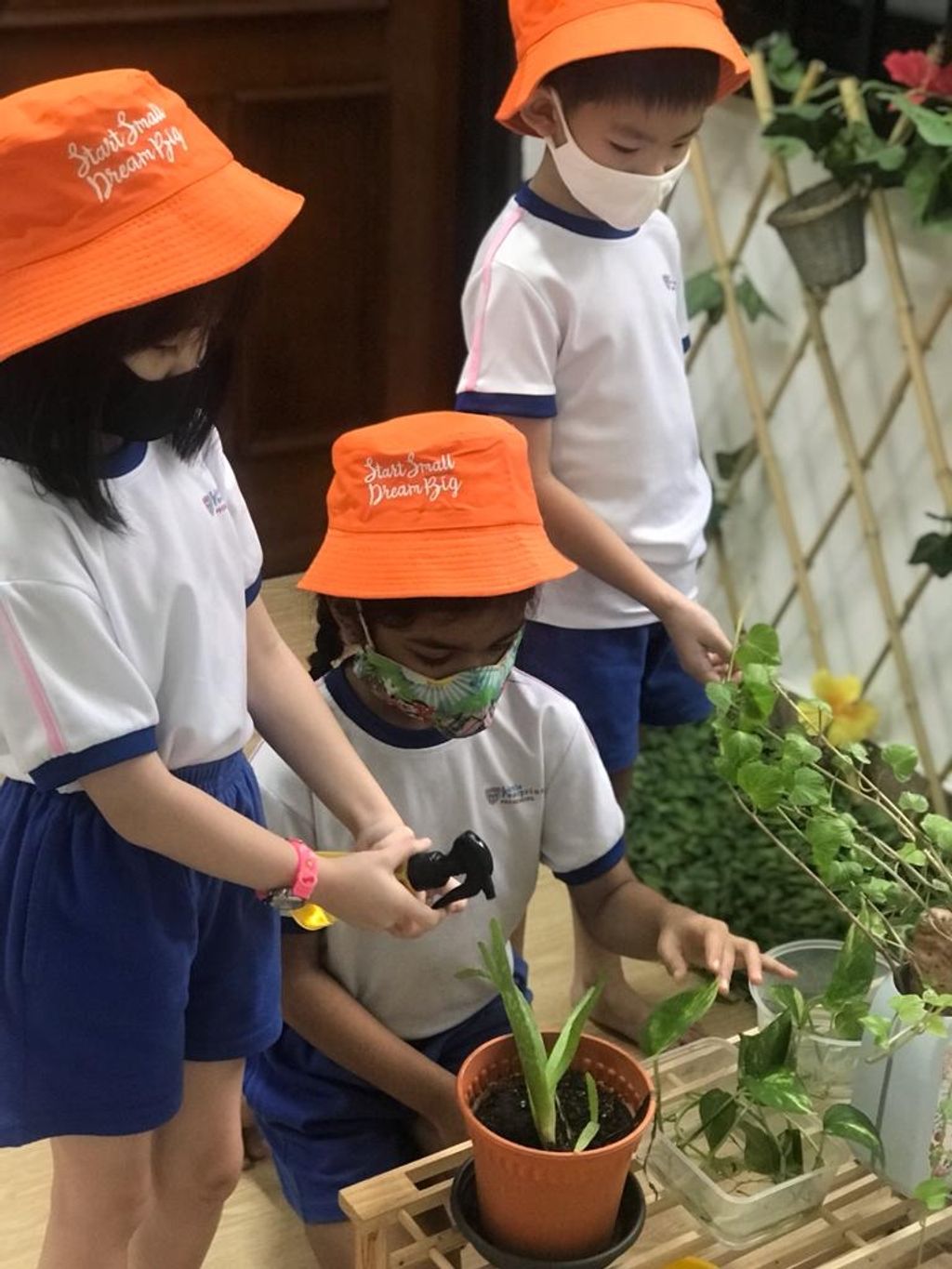 Our Awesome Learning Journey Coming To An End — photo 4