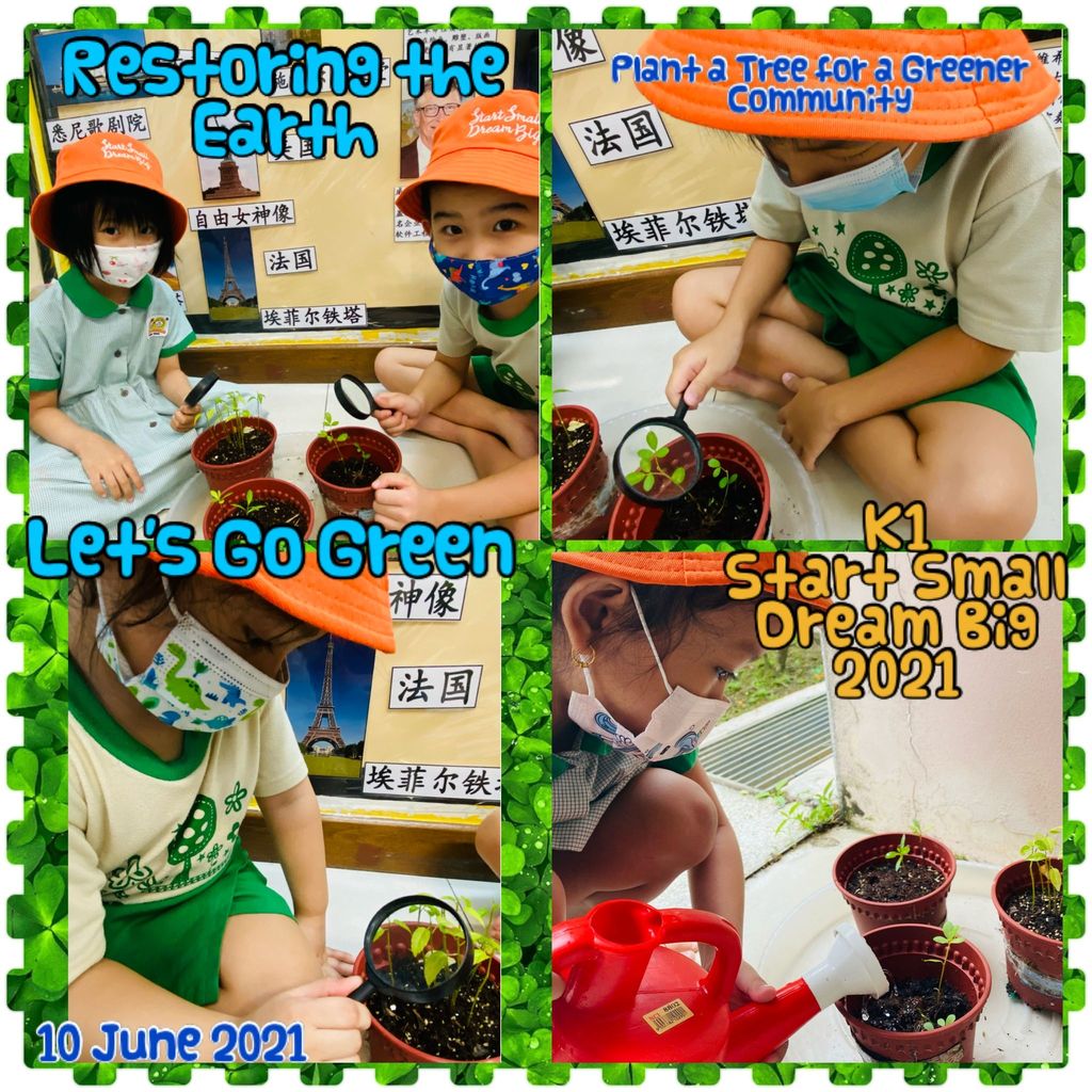 2021 SSDB: Restoring The Earth - Plant a Tree for Greener Community (Let's Go Green)