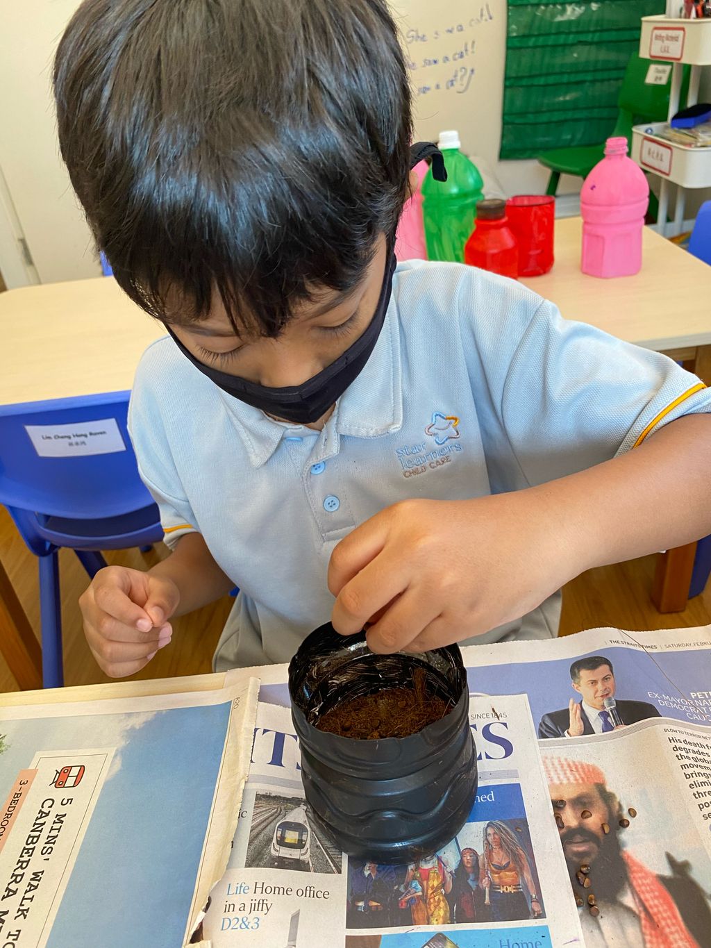 SSDB 2021: Reusing Plastic Bottles as Plant Pots — photo 8