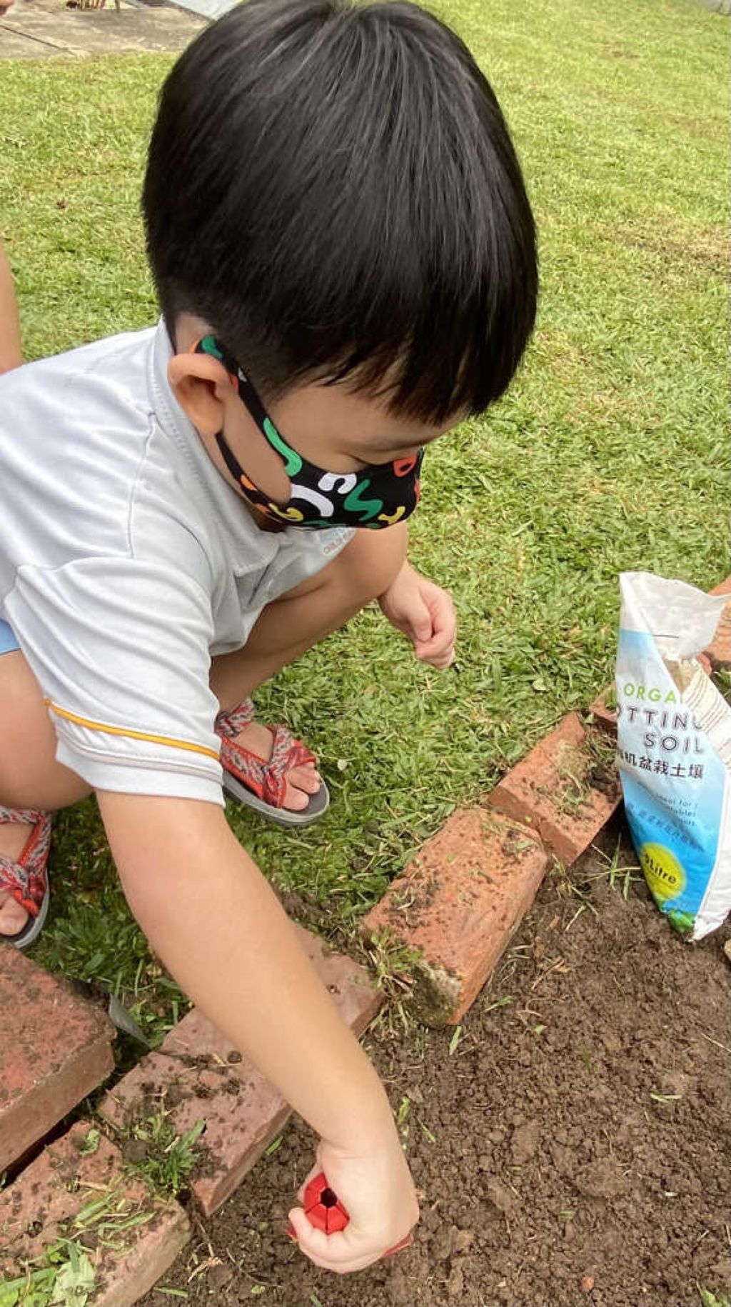 SSDB 2021: Reusing Plastic Bottles as Plant Pots — photo 1