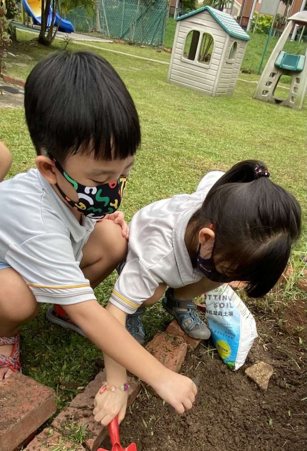 SSDB 2021: Reusing Plastic Bottles as Plant Pots — photo 2