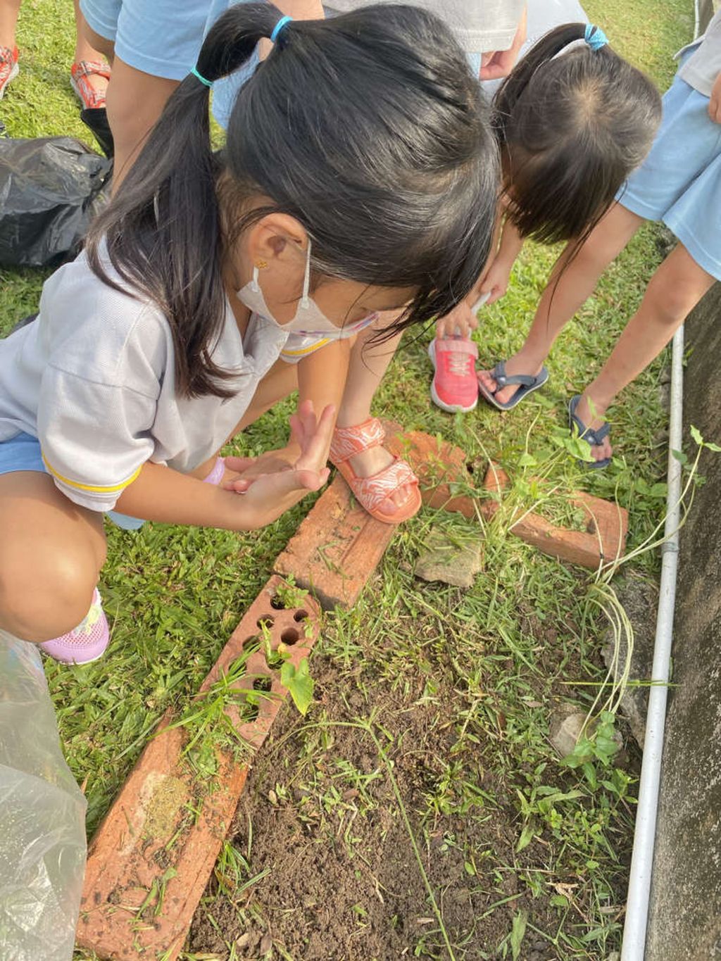 SSDB 2021: Reusing Plastic Bottles as Plant Pots — photo 3