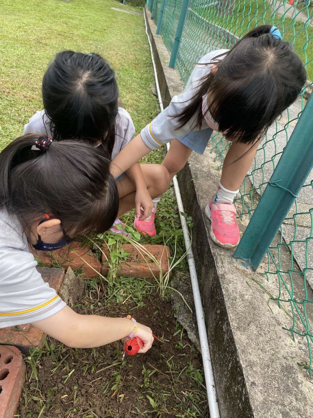 SSDB 2021: Reusing Plastic Bottles as Plant Pots — photo 4