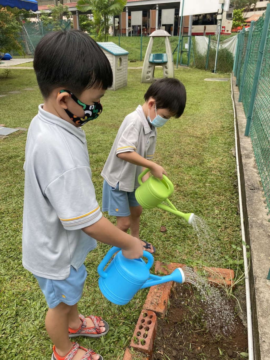 SSDB 2021: Reusing Plastic Bottles as Plant Pots — photo 5