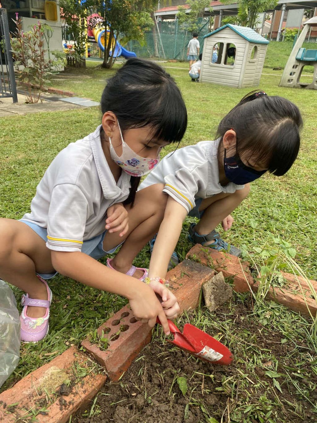 SSDB 2021: Reusing Plastic Bottles as Plant Pots — photo 6