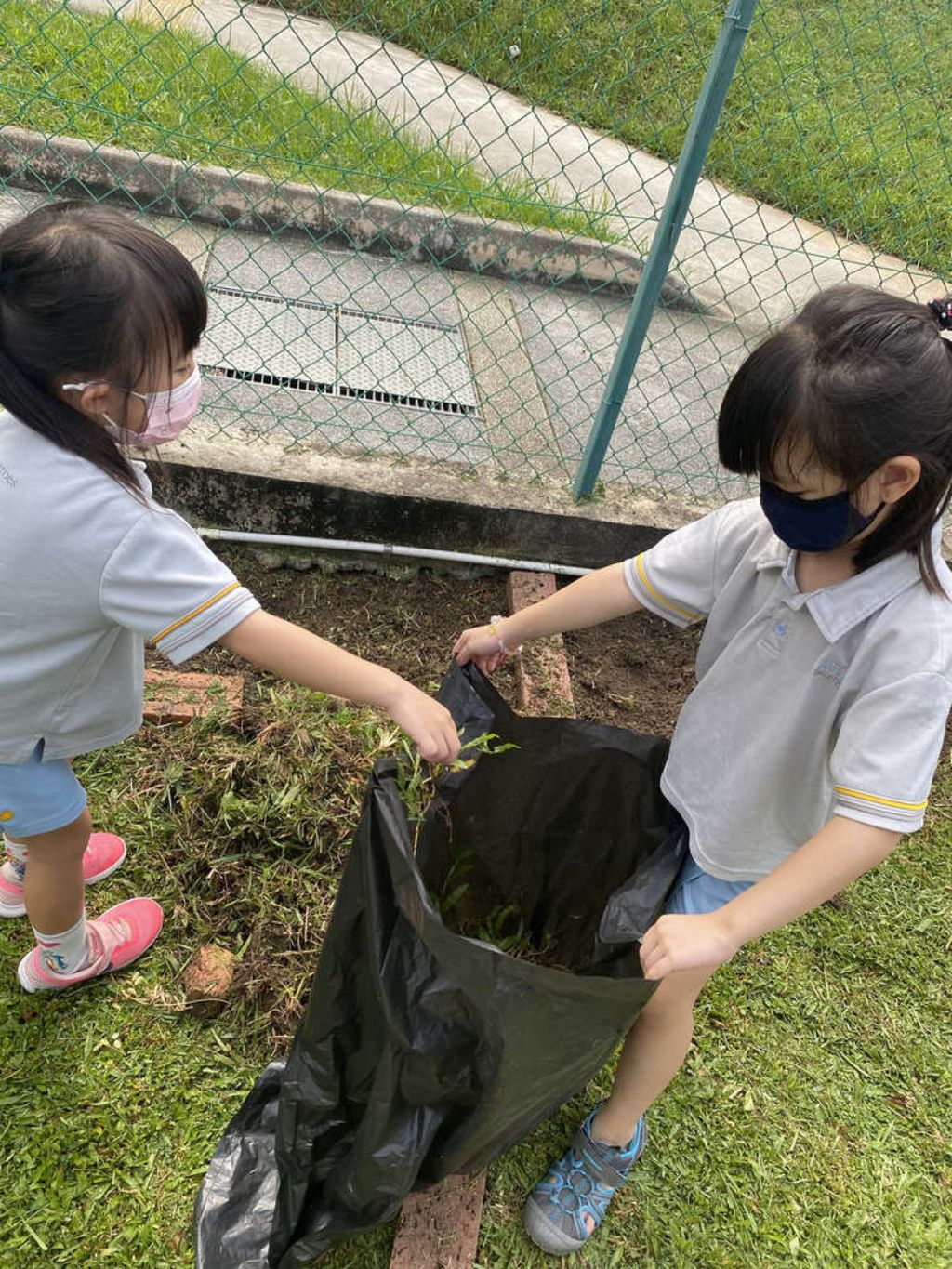 SSDB 2021: Reusing Plastic Bottles as Plant Pots — photo 7