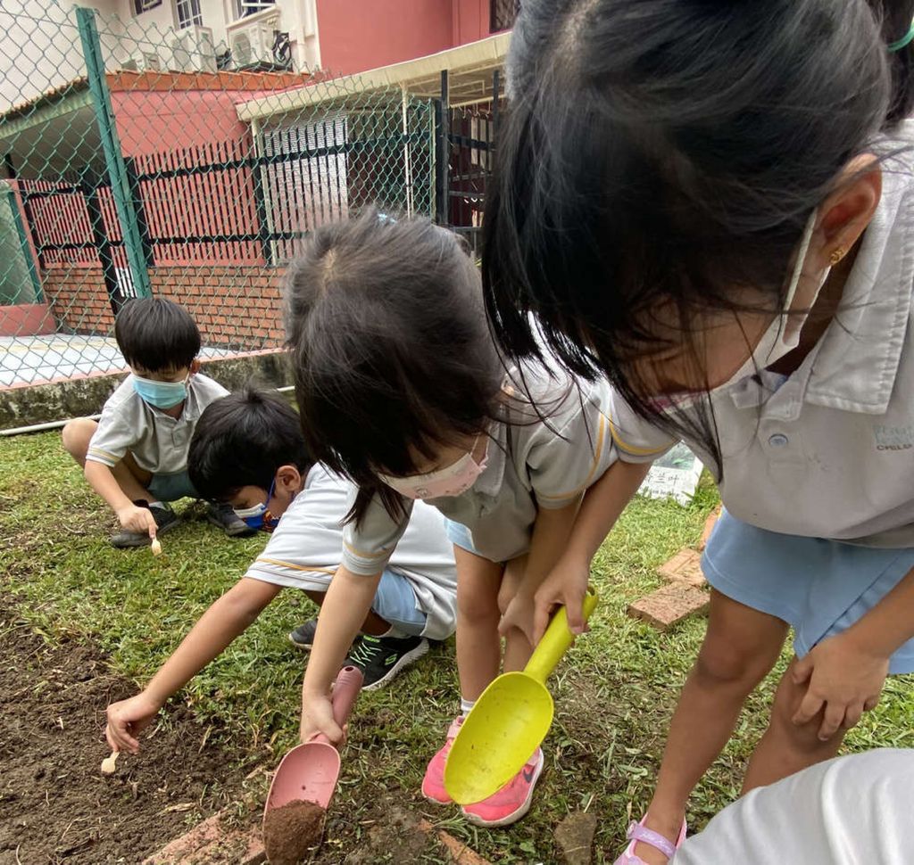 SSDB 2021: Reusing Plastic Bottles as Plant Pots — photo 9