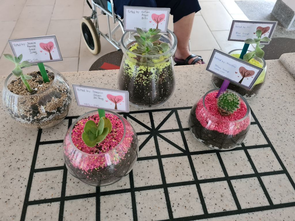 Our appreciation for the senior citizens
