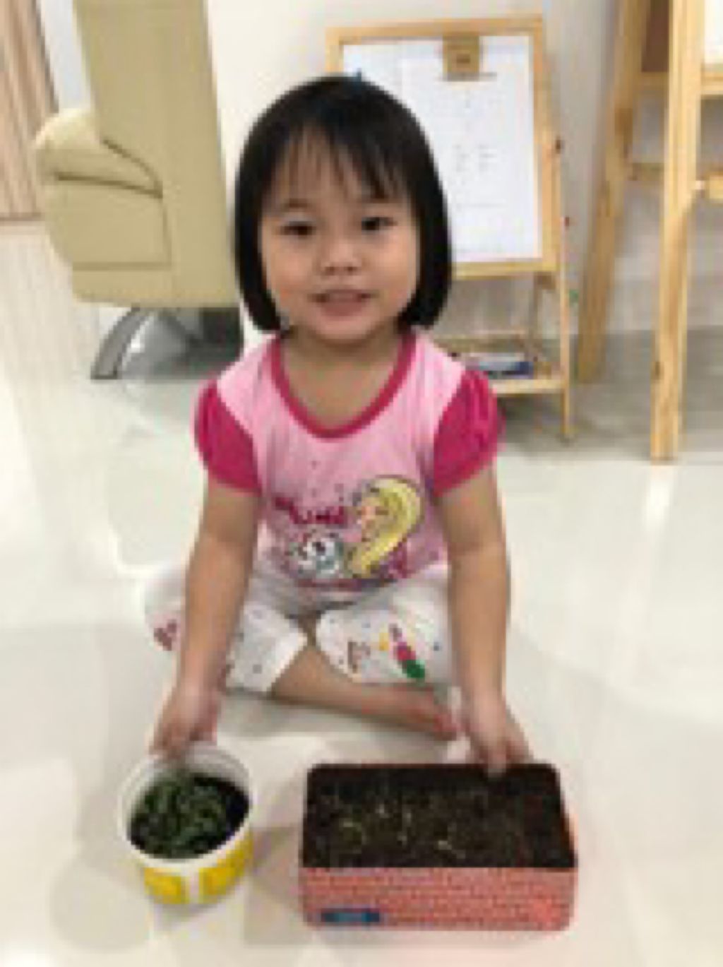 Go Green Project : A collaborative Journey — photo 2