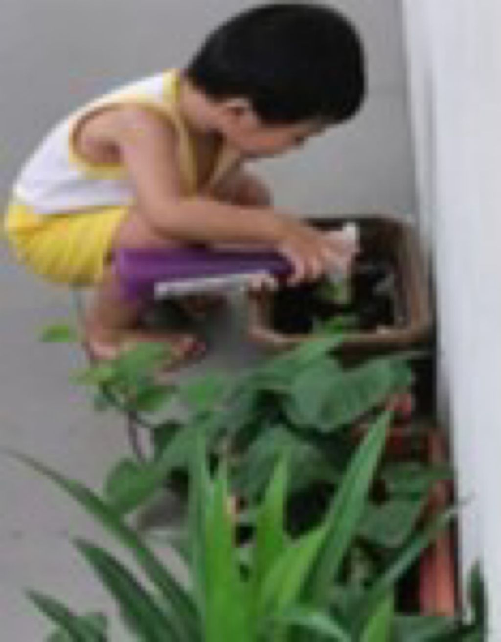 Go Green Project : A collaborative Journey — photo 4