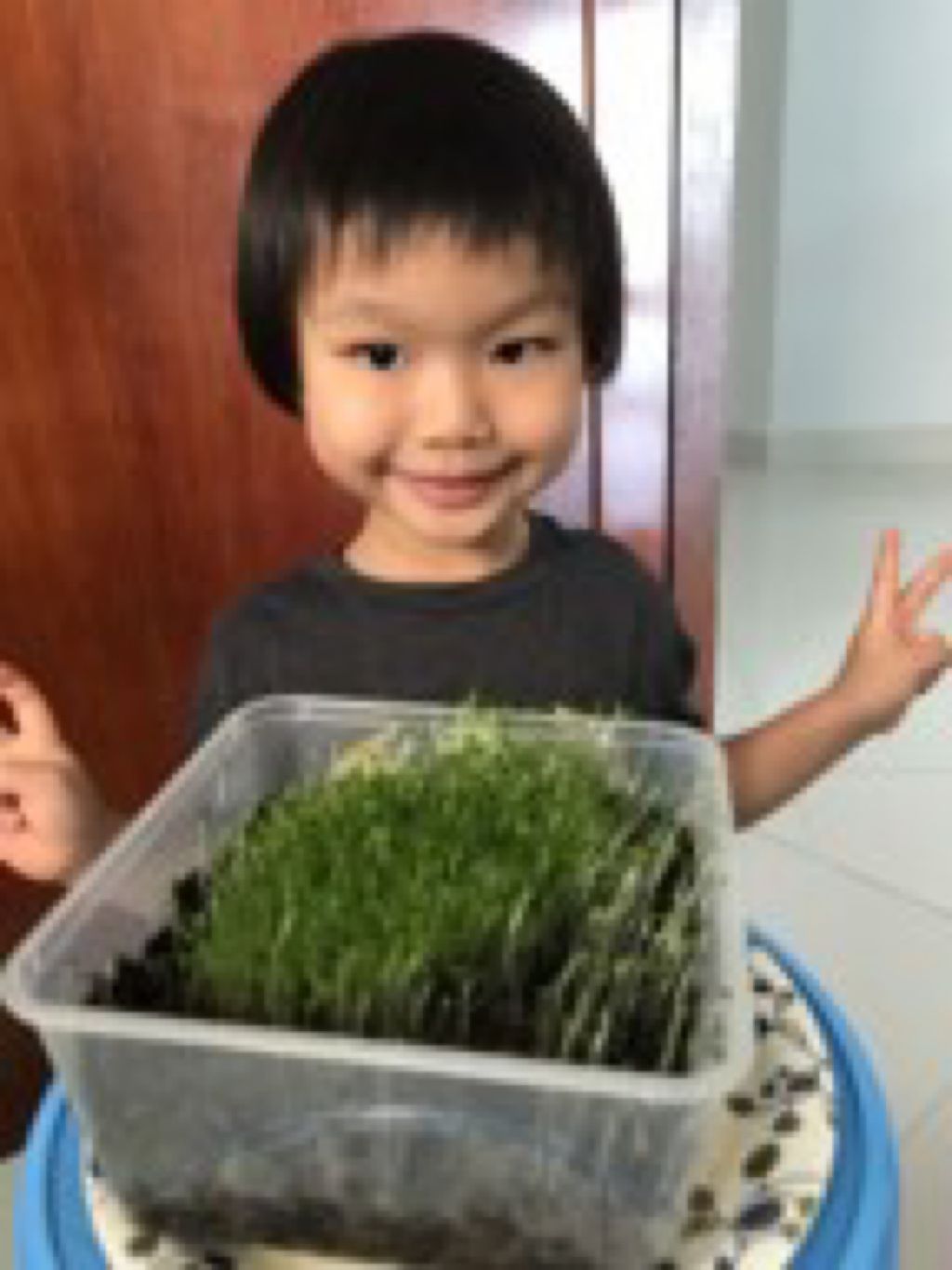 Go Green Project : A collaborative Journey — photo 10