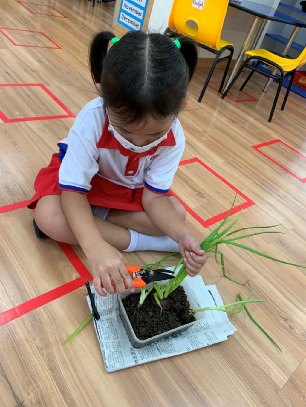 Go Green Project : A collaborative Journey — photo 13