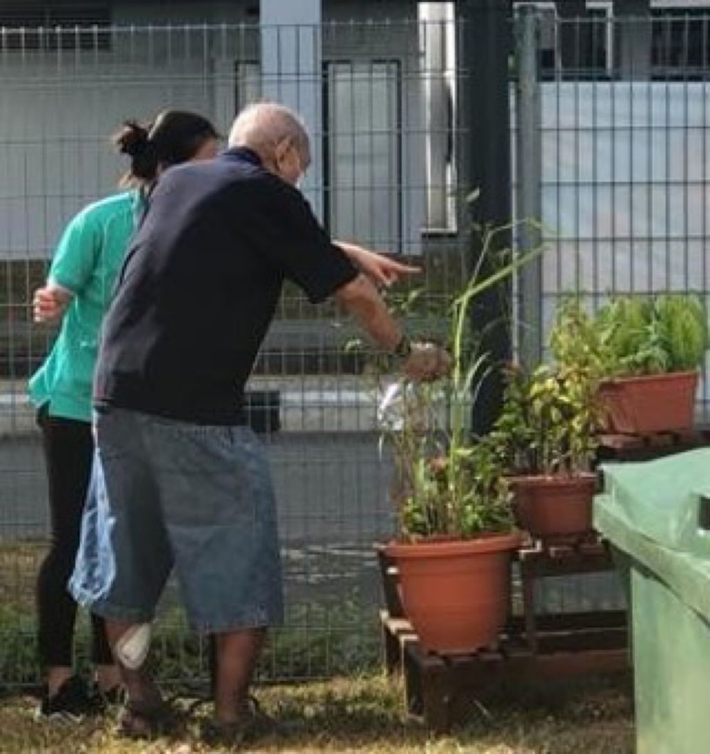 Go Green Project : A collaborative Journey — photo 1
