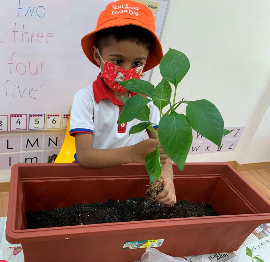 Go Green Project : A collaborative Journey — photo 1