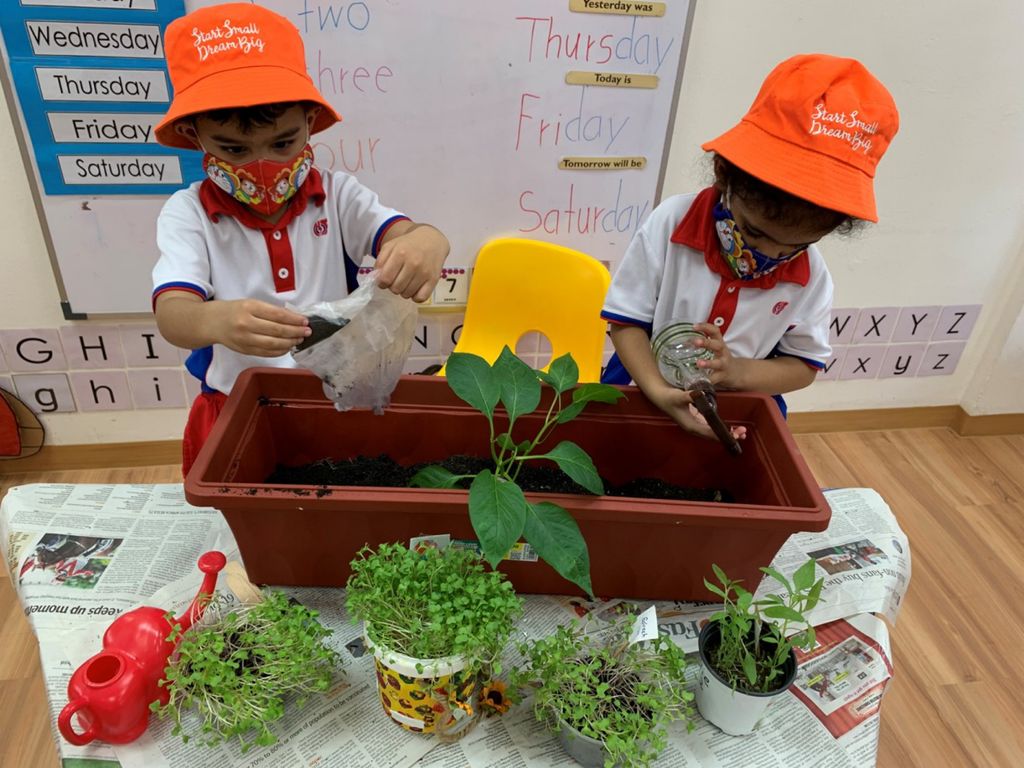 Go Green Project : A collaborative Journey — photo 2