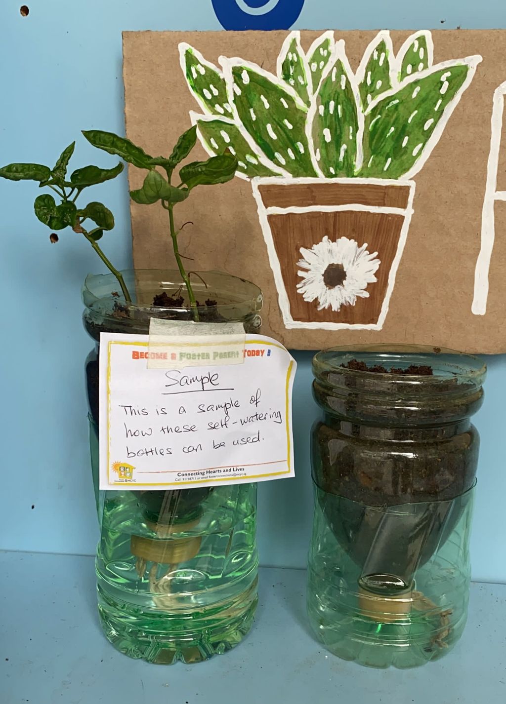 Go Green Project : A collaborative Journey — photo 2
