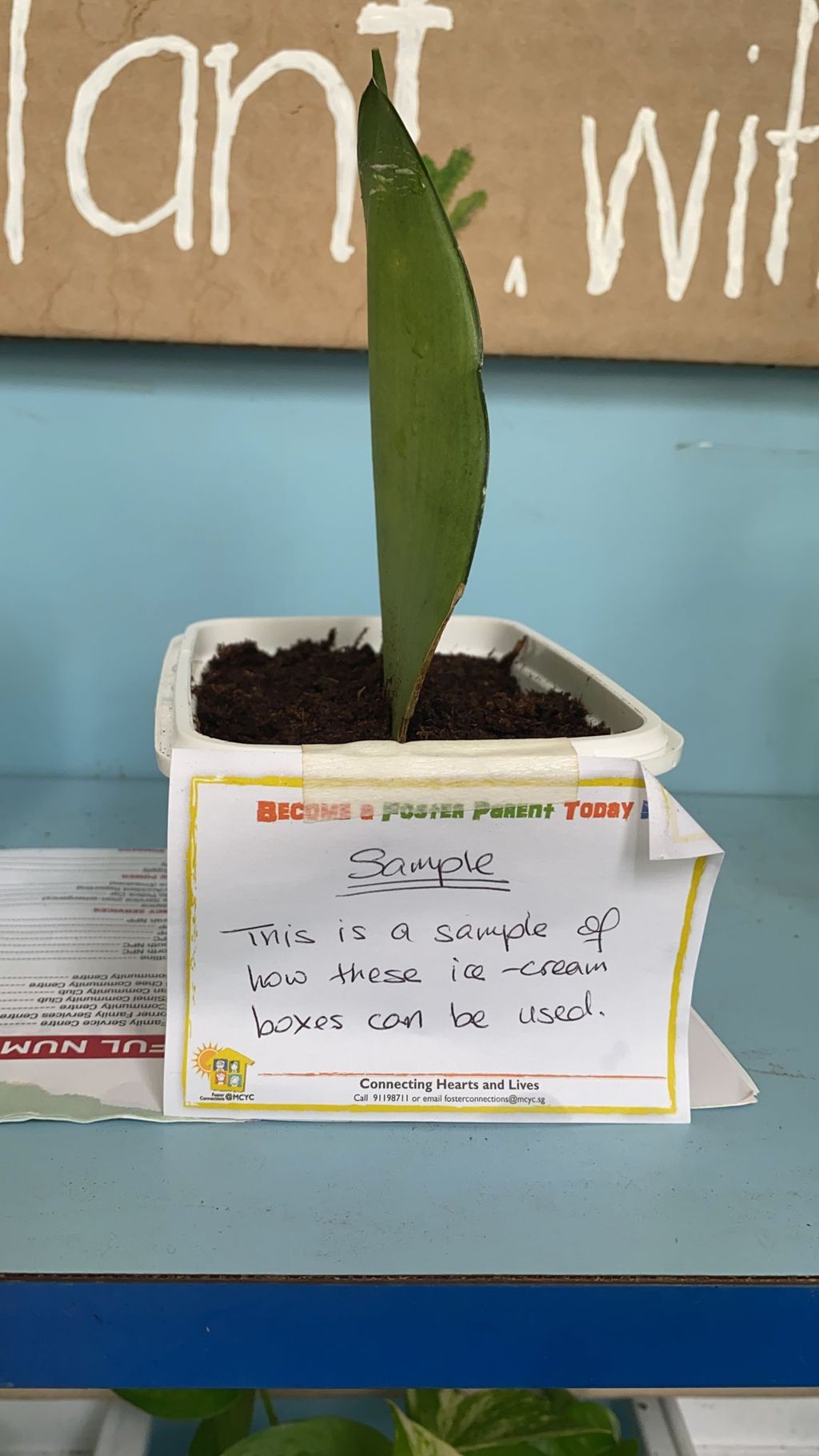 Go Green Project : A collaborative Journey — photo 3