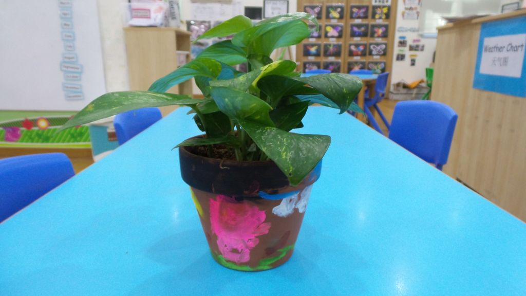 i-share, we-care, be-aware — photo 6
