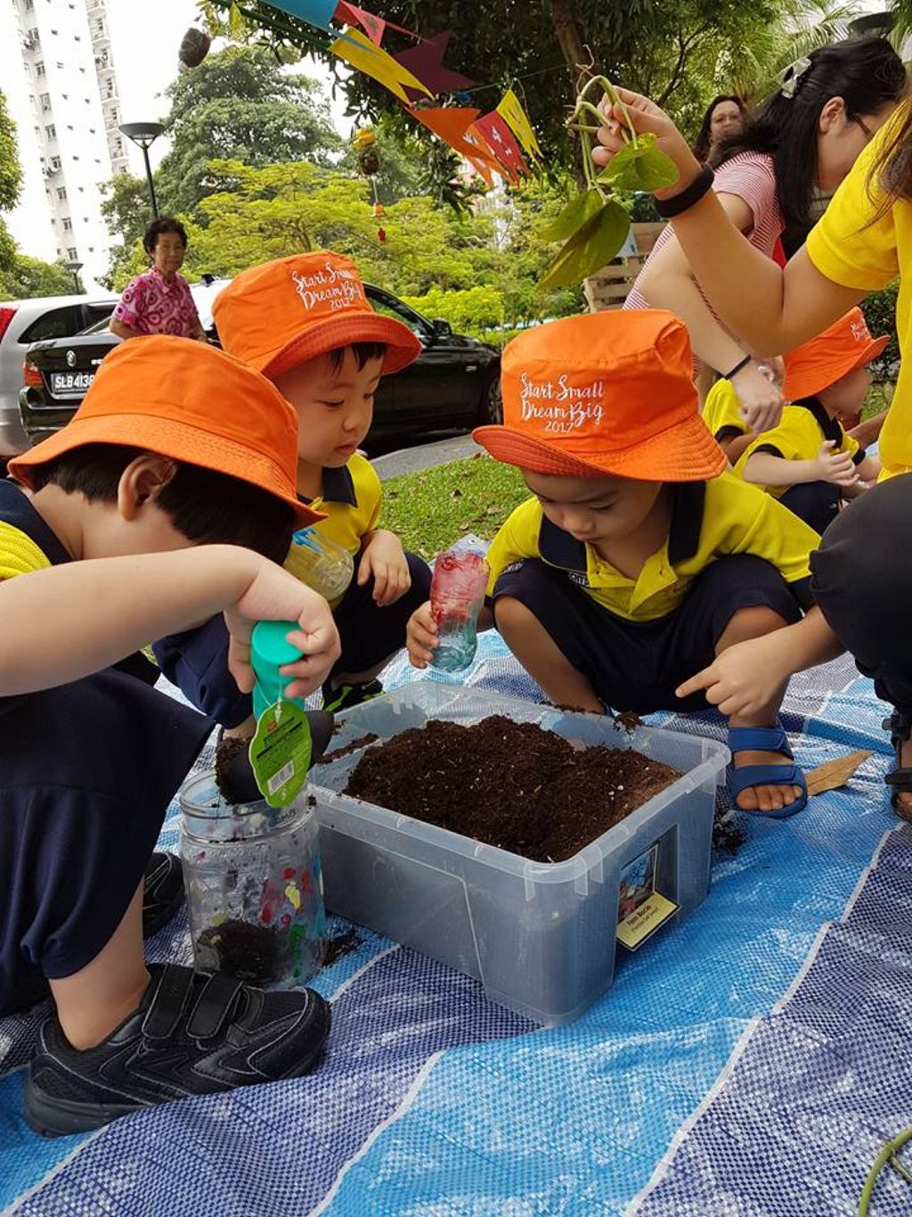 N2 Protecting Plant Biodiversity — photo 1