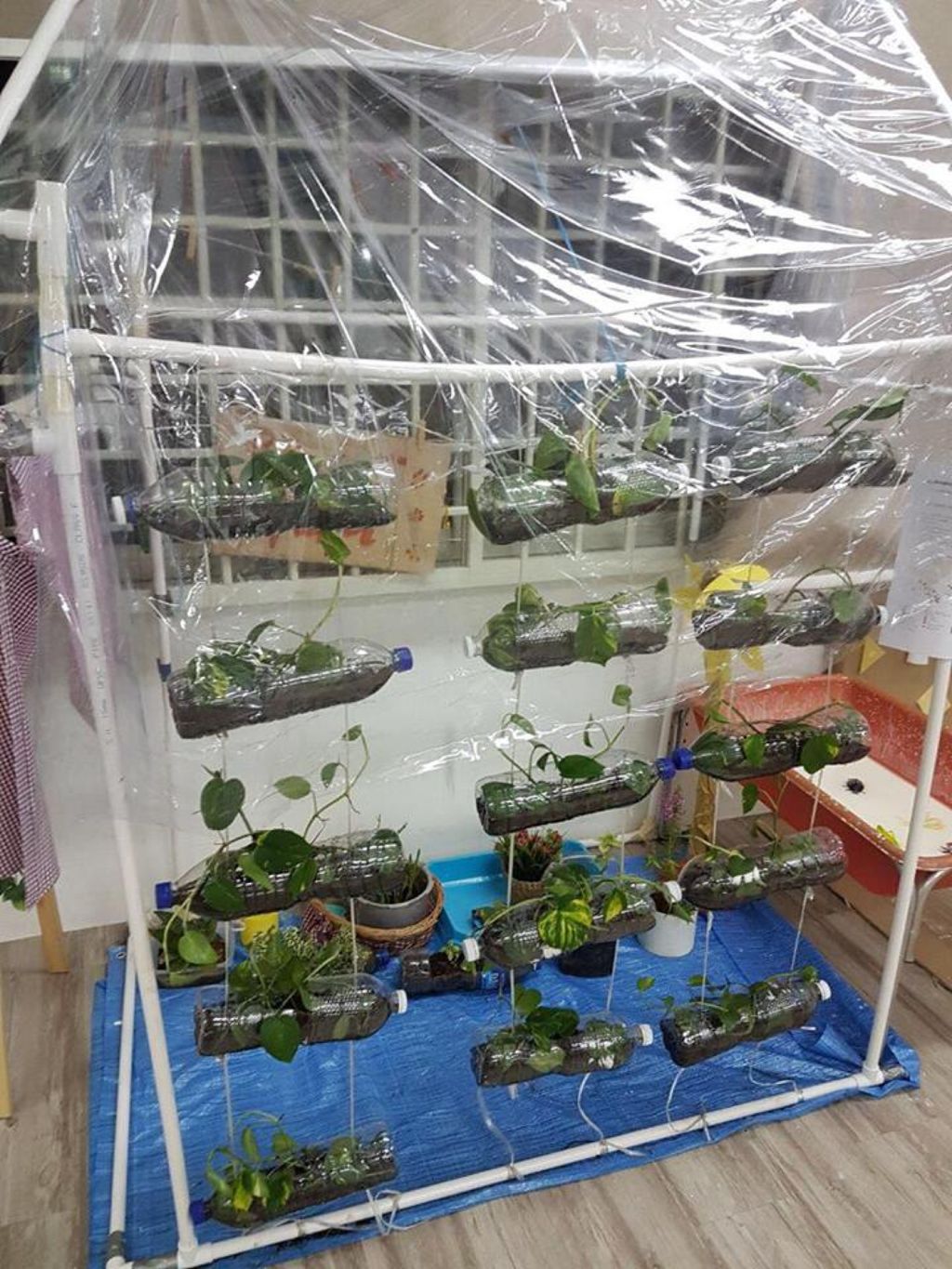 N2 Protecting Plant Biodiversity — photo 3