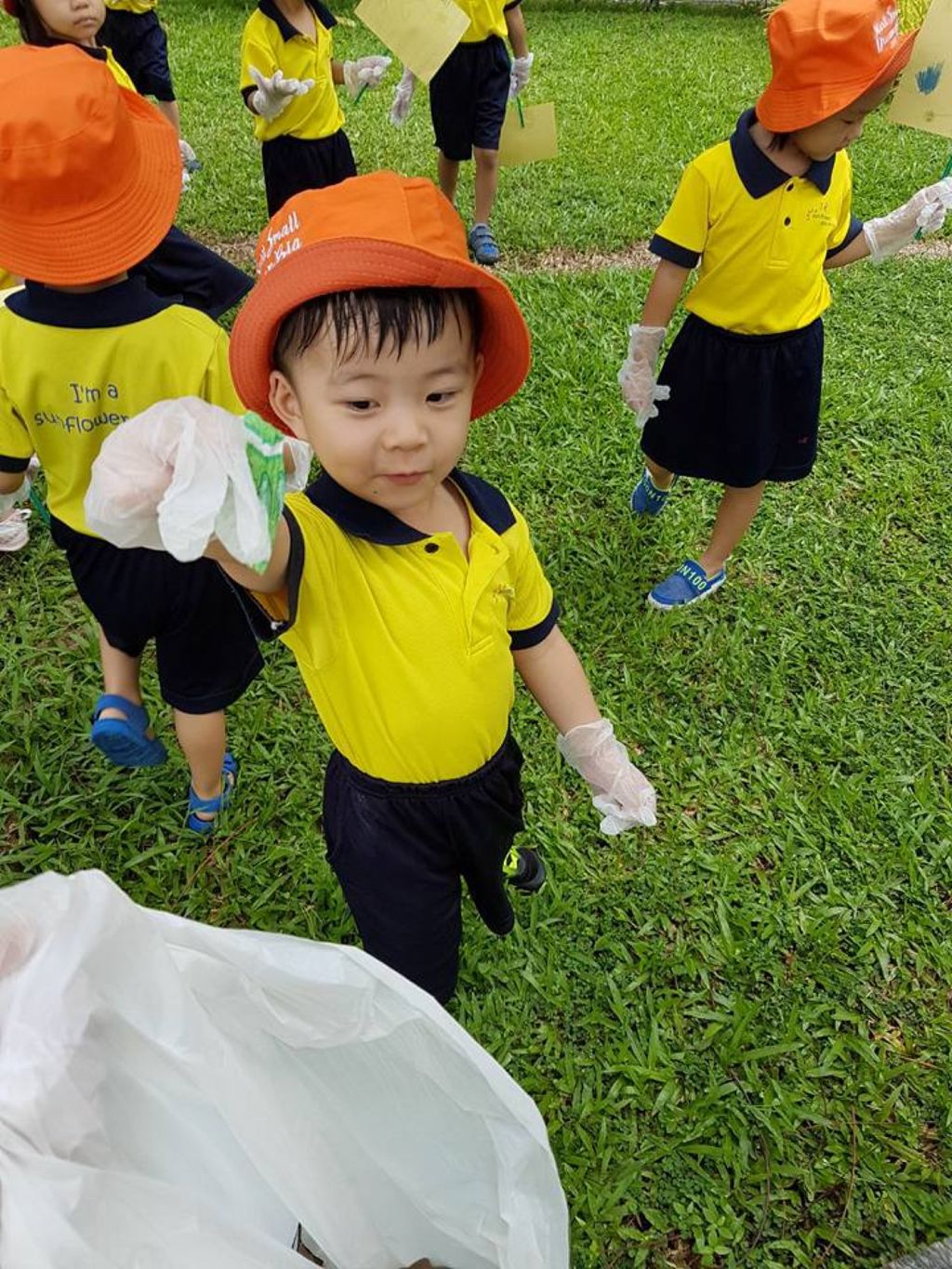 N2 Protecting Plant Biodiversity — photo 3