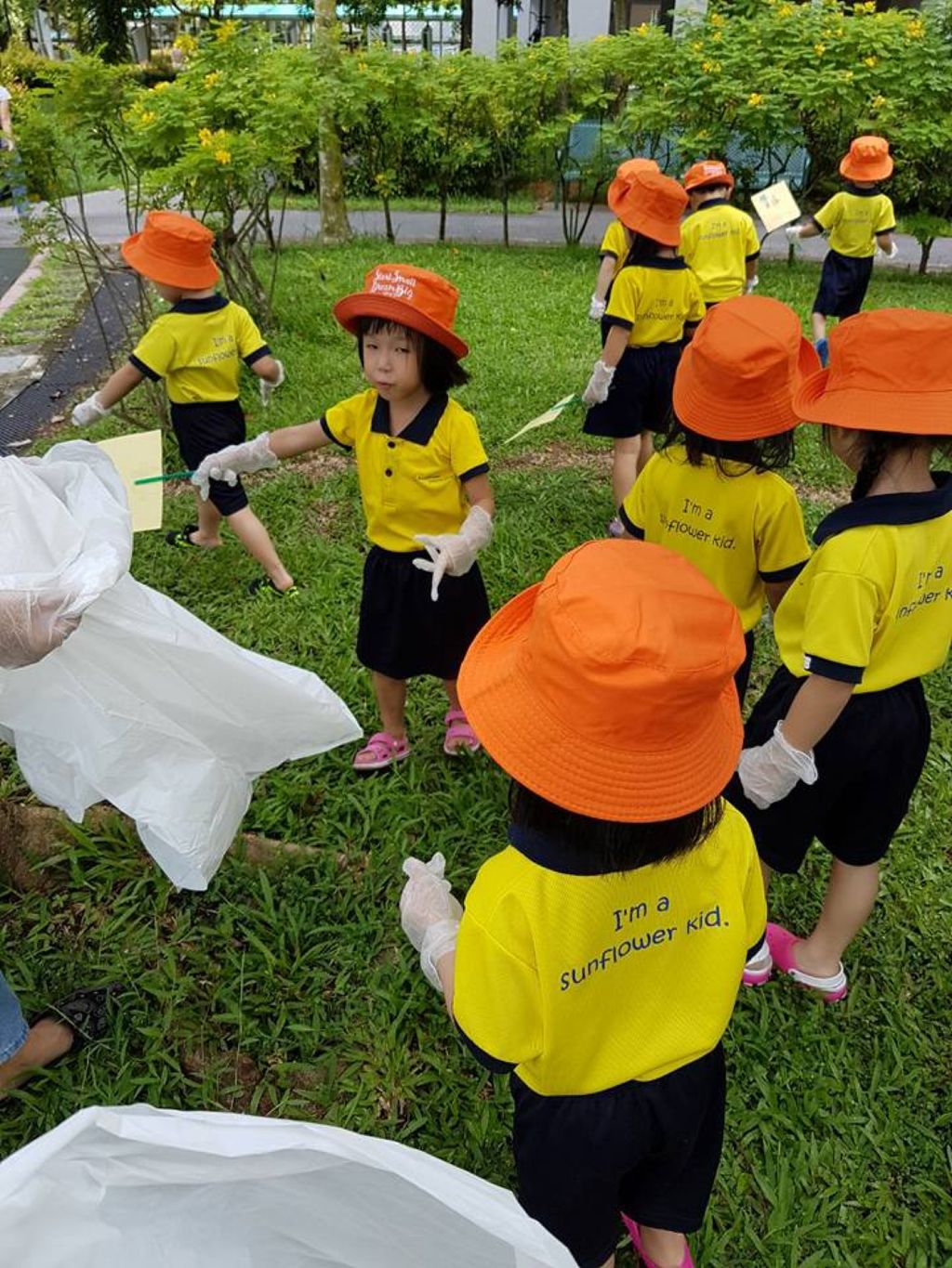 N2 Protecting Plant Biodiversity — photo 4
