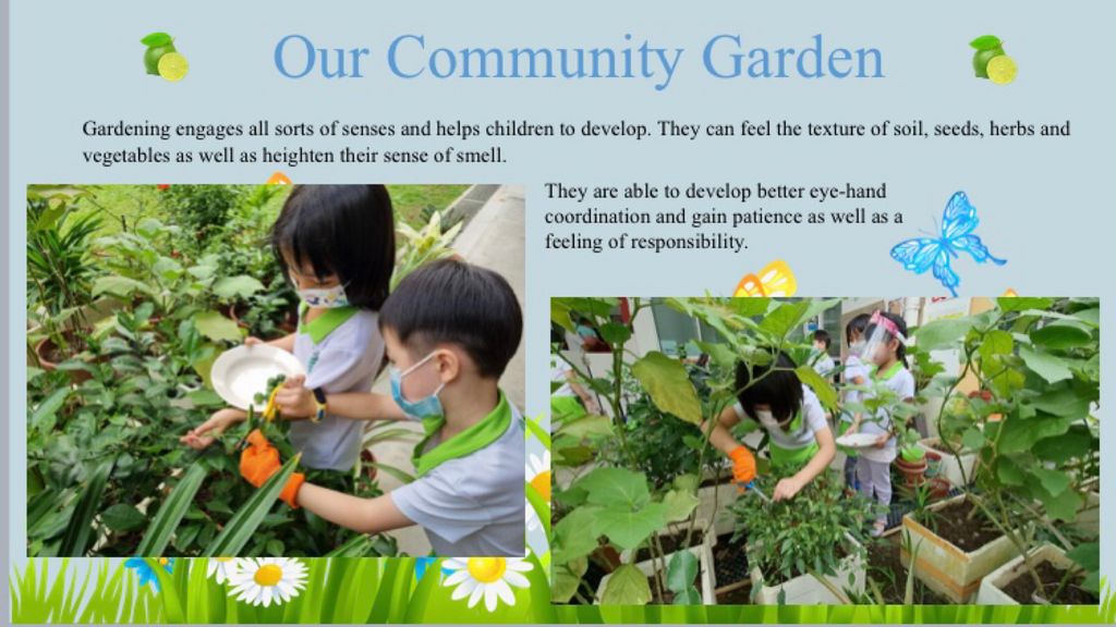 Our Community Garden